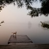 Framed On The Dock